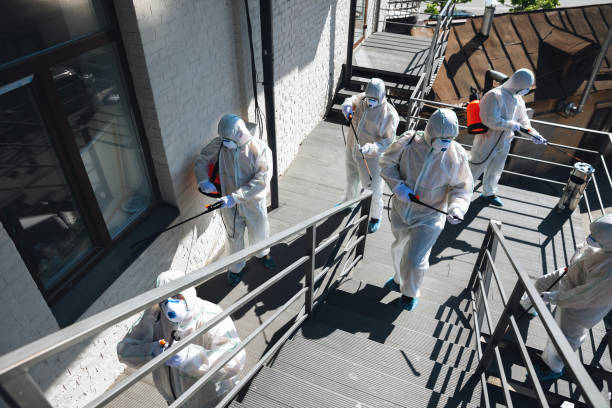 Best Mold Removal for HVAC Installations  in Martinsville, NJ