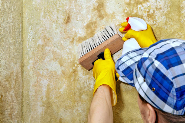 Asbestos and Lead Testing During Mold Inspection in Martinsville, NJ