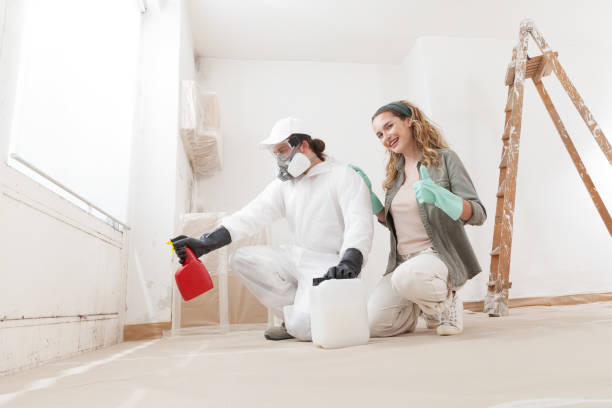 Professional Mold Removal in Martinsville, NJ